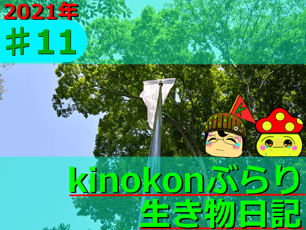 Thumbnail of post image 135